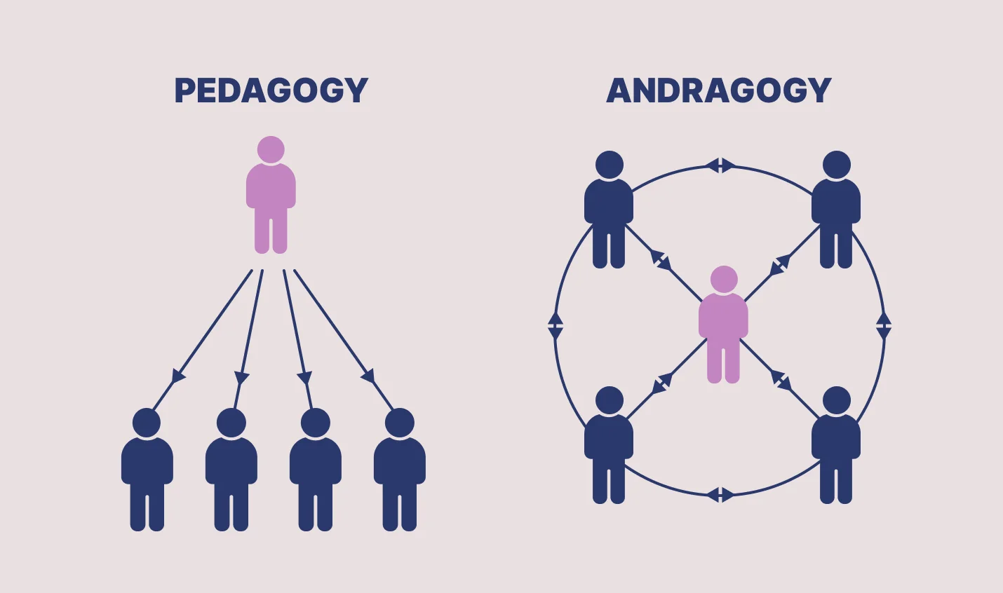 Konsep Andragogy
